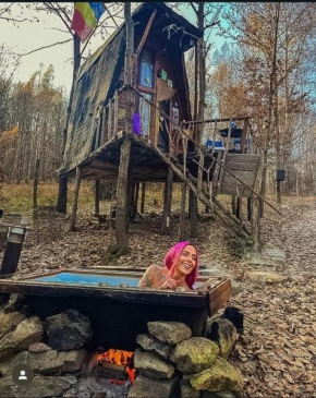 Escape Tree House închis